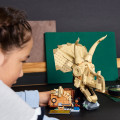 76969 LEGO Jurassic World Dinozauru fosilijas: Triceratopa galvaskauss