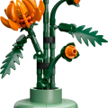 10368 LEGO Botanicals Krüsanteem