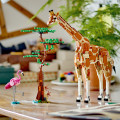 31150 LEGO  Creator Mežonīgie safari dzīvnieki