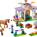 41746 LEGO  Friends Zirgu apmācības