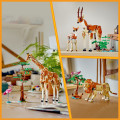 31150 LEGO  Creator Mežonīgie safari dzīvnieki