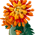 10368 LEGO Botanicals Krüsanteem