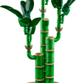 10344 LEGO Botanicals Onnenbambu