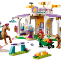 41746 LEGO  Friends Zirgu apmācības